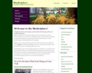 screenshot of my new marketplace website