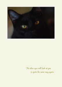 image of animal sympathy card