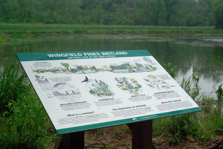 wingfield pines wetlands sign