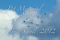 pet loss tribute scroll video movie slidesho